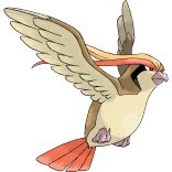 Mega Pidgeot