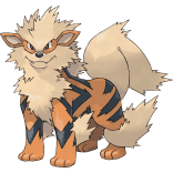 Shadow Arcanine