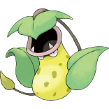 Shadow Victreebel