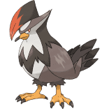 Shadow Staraptor
