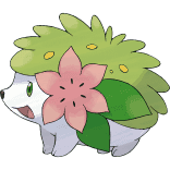 Sky Forme Shaymin