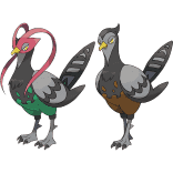 Shadow Unfezant