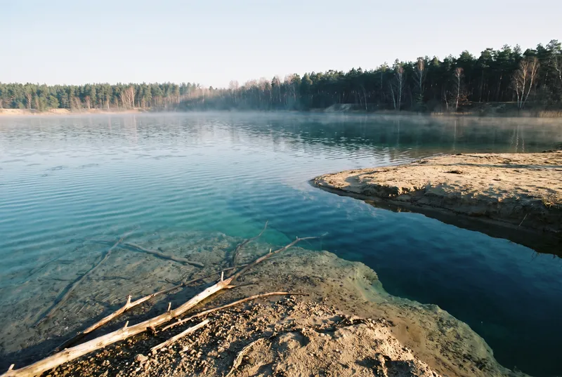 Klarer See mit türkisfarbenem Wasser, im flachen Vordergrund eine Sandbank und versunkene Äste, dahinter Nebel über der Fläche und ein Kiefernwald