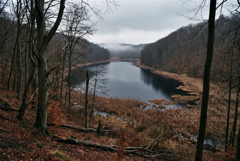 Blick von einem bewaldeten Hang hinab auf einen schmalen See mit fast schwarzem Wasser, ringsum kahle Buchen, Falllaub und trockenes Schilf, über dem hinteren Ende hängt Nebel