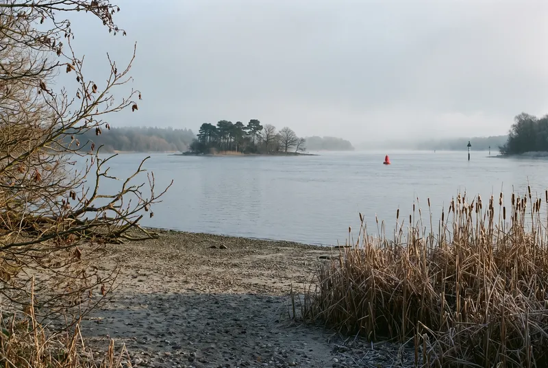 Winterlicher Blick von einer sandigen Kiesbank über den weiten See, links kahle Erlenzweige, rechts ein bereifter Schilfgürtel, dahinter eine bewaldete Insel mit Kiefern und eine rote Fahrwassertonne im Dunst.