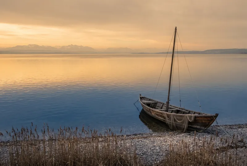 Bodensee an einem ruhigen Morgen, Schilfgürtel und Kiesufer im Vordergrund, am Horizont die Alpen