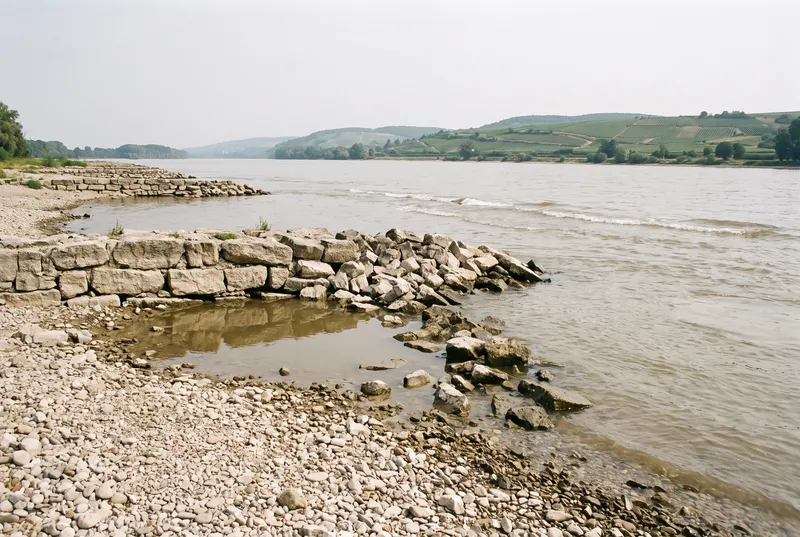 Breiter Rhein bei Niedrigwasser, im Vordergrund eine freigefallene Kiesbank mit einer Steinbuhne, am anderen Ufer Weinberge im Dunst