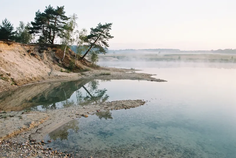 Klarer Kiessee im Morgendunst, im Vordergrund eine steile Sandkante mit Kiefern und Birken, unter der Oberfläche liegt die Kiesbank offen