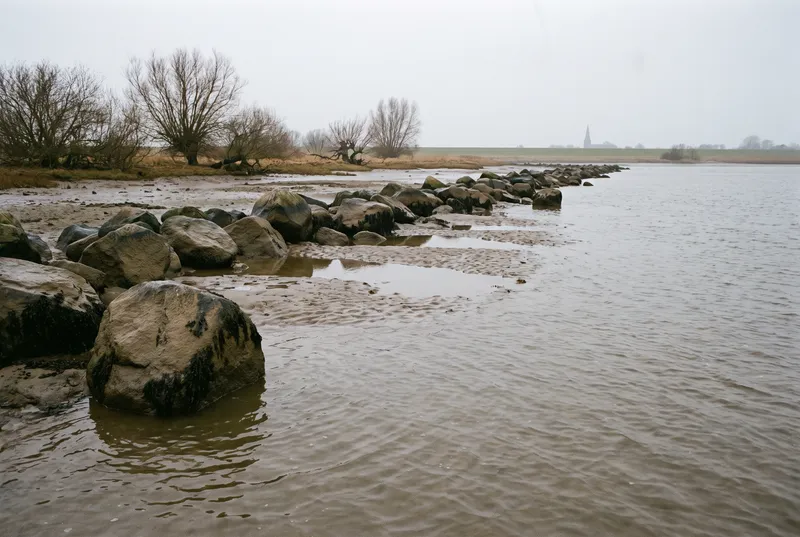 Bei Niedrigwasser liegen die Buhnensteine mit dunkler Tidemarke frei, dazwischen Schlickpfützen und geripptes Sandwatt, dahinter kahle Weiden und ein flacher Deich unter grauem Himmel