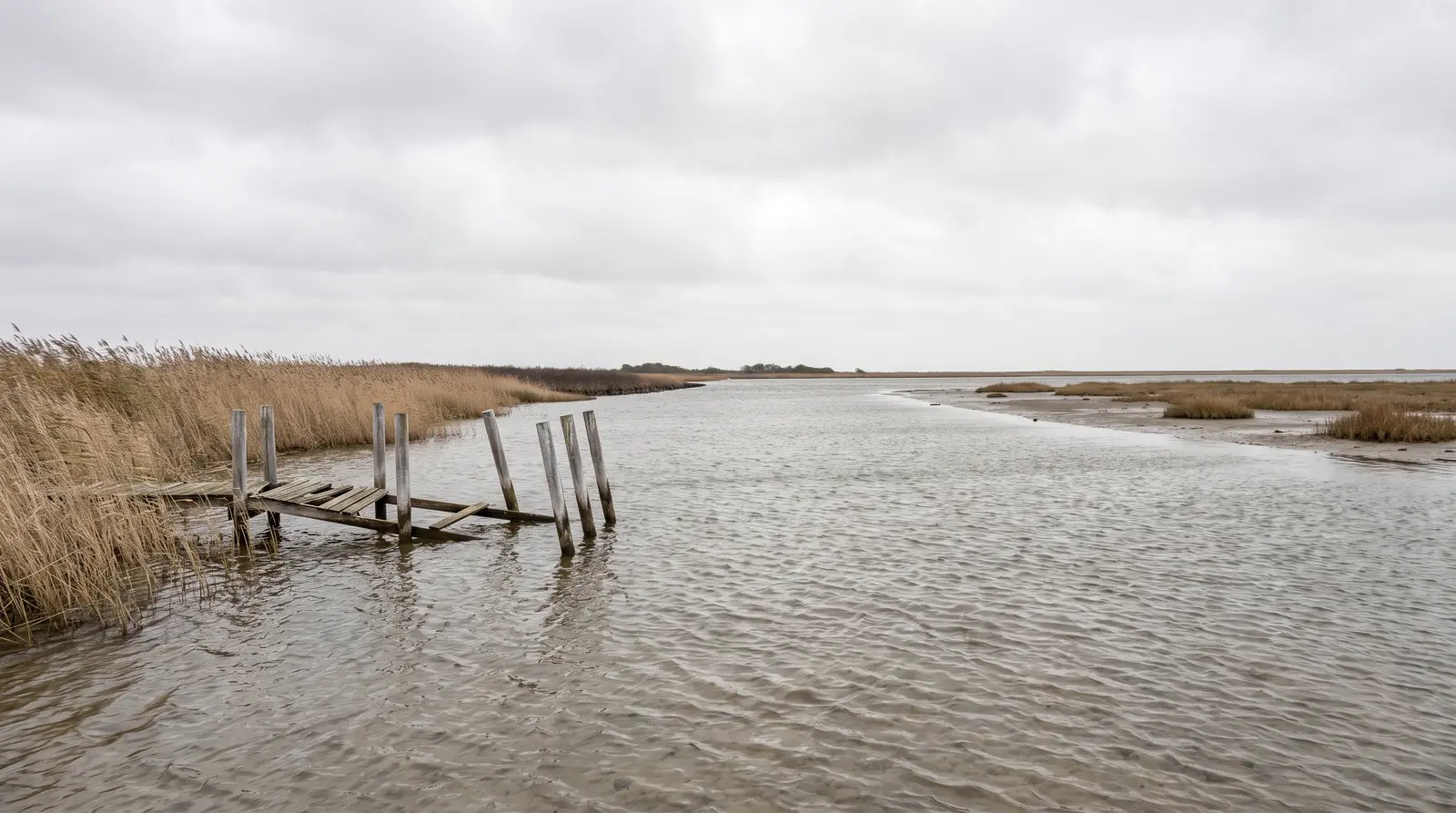 Flacher Bodden unter grauem Wolkenhimmel, links ein breiter Schilfgürtel und die verwitterten Pfähle eines eingebrochenen Holzstegs im knietiefen Wasser. Der Wind kräuselt die weite Fläche, am Horizont liegt eine schmale Landzunge