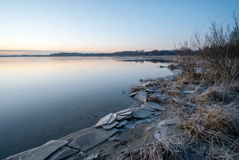 Weite spiegelglatte Flachwasserfläche in der Winterdämmerung, am Ufer aufgeschobene graue Eisplatten im Sand, daneben raureifbedecktes Gras und kahles Weidengebüsch