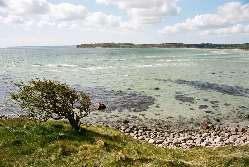 Blick von einer Grasböschung über eine weite Bucht, klares grünes Brackwasser mit dunklen Seegrasflecken und Steinen, am Ufer ein Gürtel runder Findlinge und ein windschiefer Weißdorn
