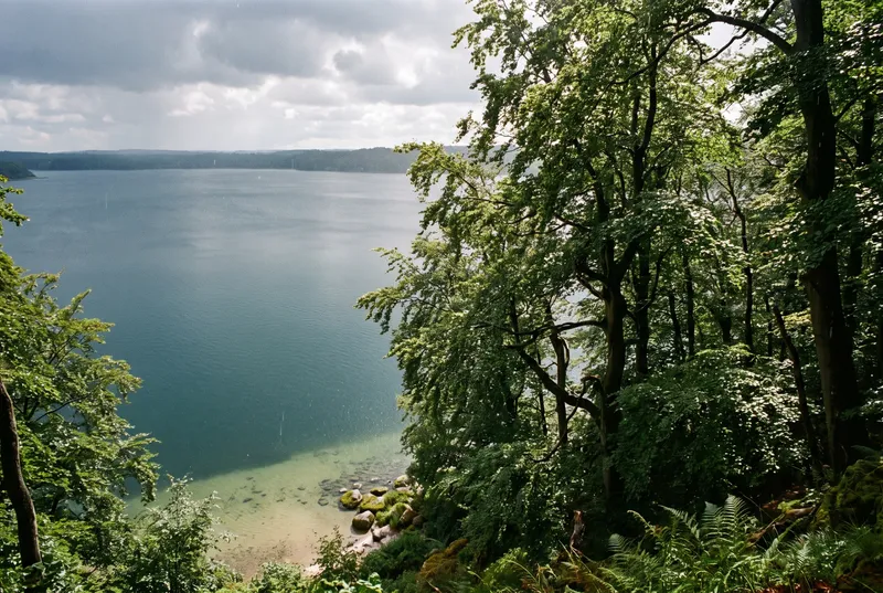 Blick von einem bewaldeten Steilufer durch Buchen hinunter auf einen tiefen dunkelblauen See, unten fällt der helle Sandgrund mit Steinen steil ab, gegenüber zieht ein Regenschauer