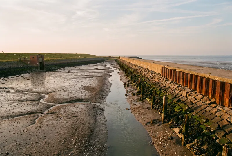 Rostige Spundwand mit bewachsenem Steindeckwerk an einem Siel, davor freiliegendes Watt mit Prielen und ein schmaler Wasserlauf im Abendlicht