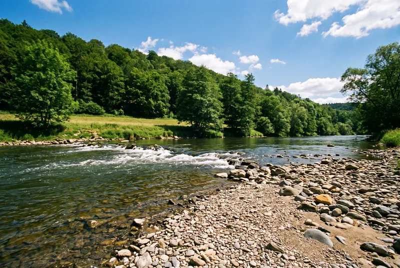 Klare Weser läuft über eine Kiesbank und eine kurze Stromschnelle, dahinter ein bewaldeter Hang mit Wiesenstreifen unter blauem Sommerhimmel