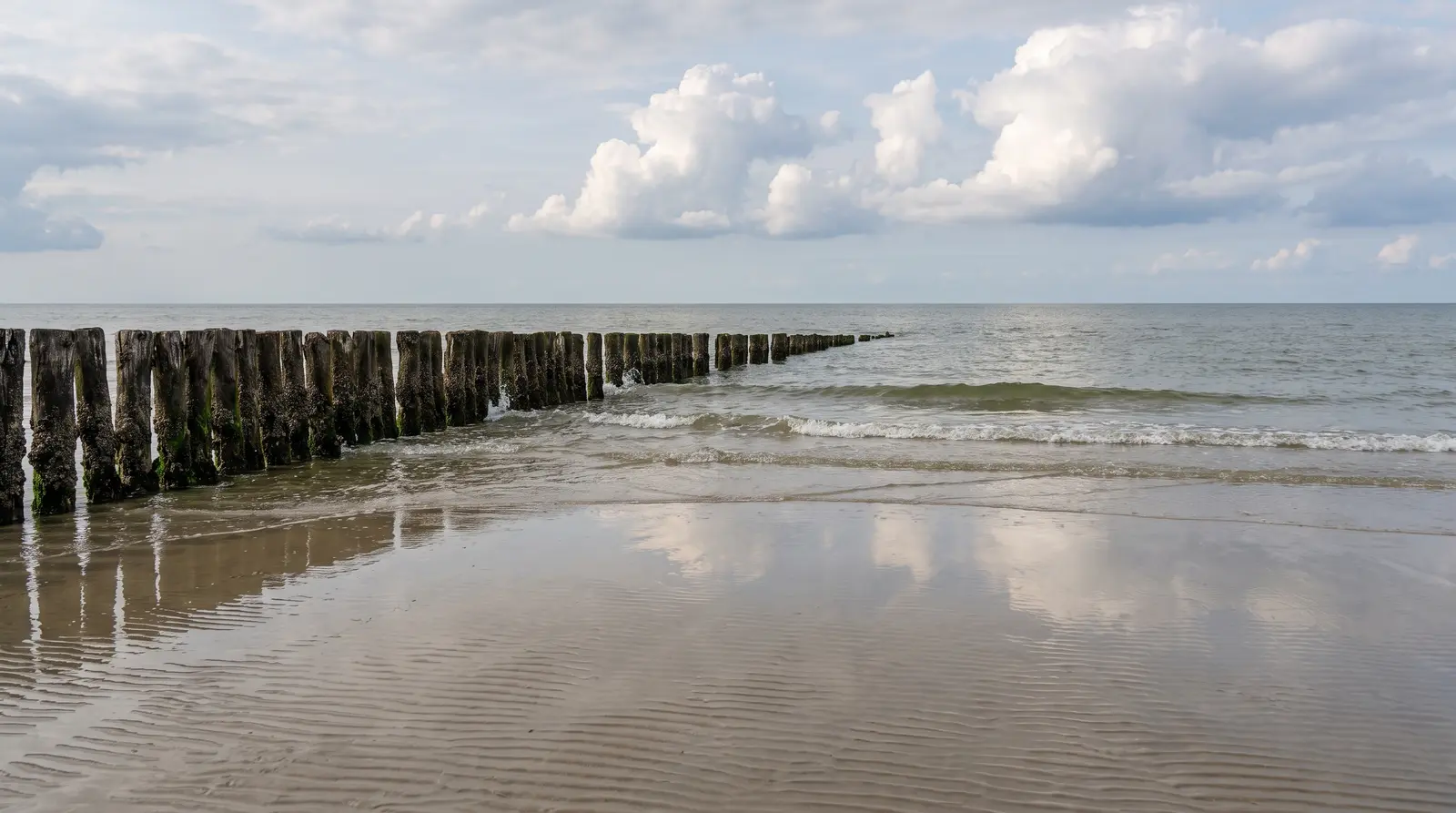 Reihe verwitterter Holzpfähle einer Buhne, die vom Strand schräg in die flache Nordsee läuft, davor nasser Sand mit Wellenrippeln unter einem hohen Himmel voller Quellwolken