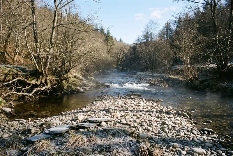 Klarer Kiesbach im zeitigen Frühjahr, vorne eine Kiesbank mit Schieferplatten und Raureif, dahinter eine kleine Rausche zwischen kahlen Erlen