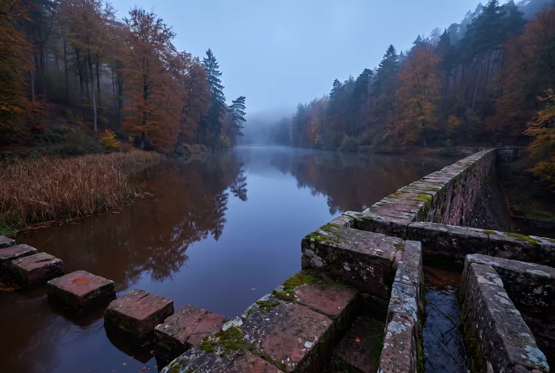 Alter Stauweiher im Wald zur blauen Stunde, rechts die moosige Sandsteinmauer des Damms, links ein Schilfstreifen, über dem Wasser Nebel