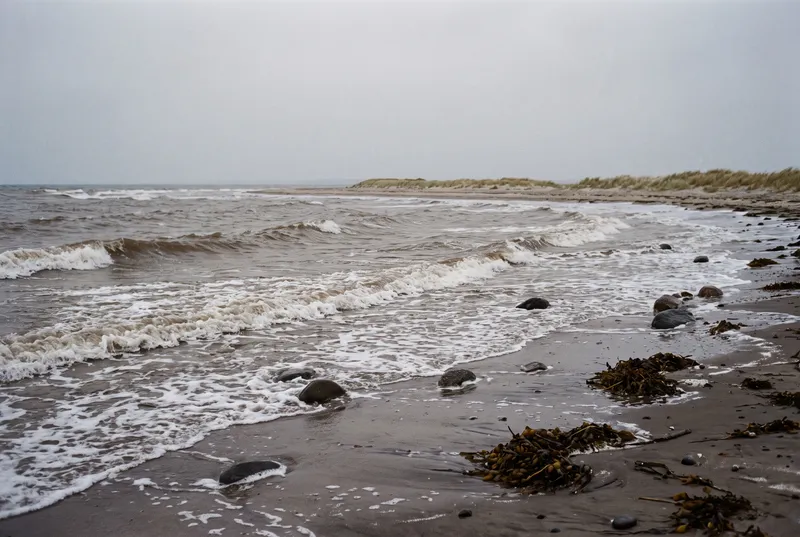 Brandungswellen laufen schräg auf einen nassen Sandstrand, im Flachwasser liegen einzelne runde Steine, am Spülsaum brauner Blasentang und dahinter eine niedrige Dünenkante mit Strandhafer unter grauem Himmel