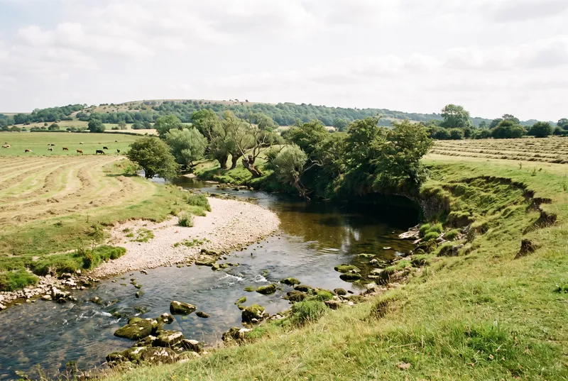 Kleiner Fluss in einer weiten Schlinge durch gemähte Sommerwiesen, innen eine helle Kiesbank, außen ein unterspültes Steilufer mit Kopfweiden, dahinter weidende Rinder und ein bewaldeter Höhenzug