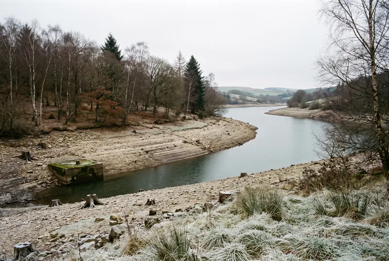 Talsperre bei abgesenktem Wasserstand, freiliegender Steinstreifen mit Baumstümpfen und altem Betonfundament, Raureif im Ufergras