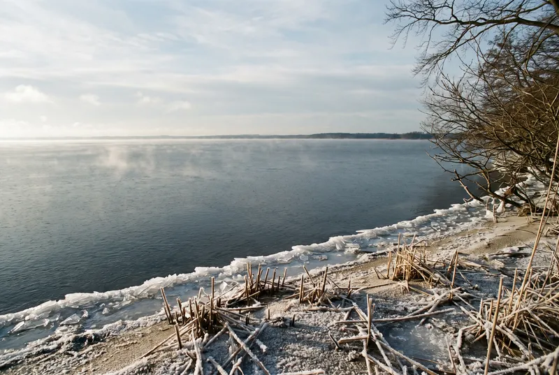 Weite offene Wasserfläche eines großen Sees im Winter, am Ufer ein Eisrand und bereifte Schilfstoppeln, rechts kahle Zweige, über dem Wasser zieht feiner Dunst