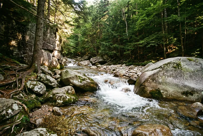 Schmaler Gebirgsbach zwischen großen Granitblöcken, klares Wasser bricht weiß über eine Stufe, links eine Felswand mit freiliegenden Wurzeln, ringsum steiler Fichten- und Buchenwald im Sommerlicht
